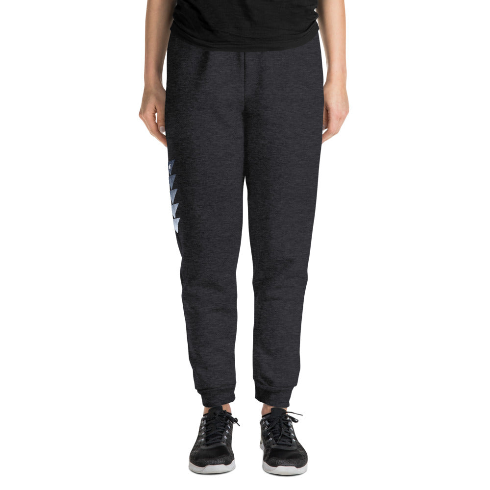 Tri Ombre | Ladies Joggers