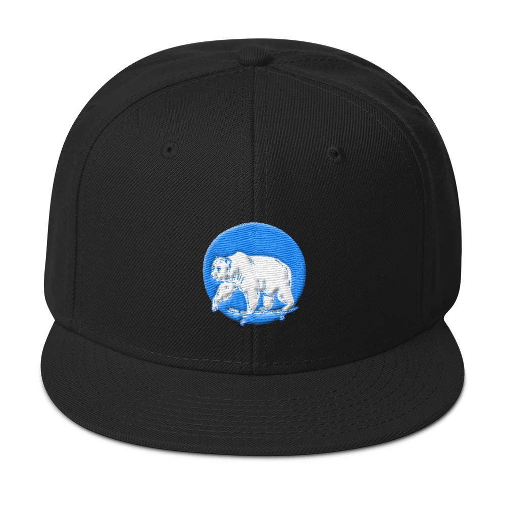 Skater Bear | Snapback