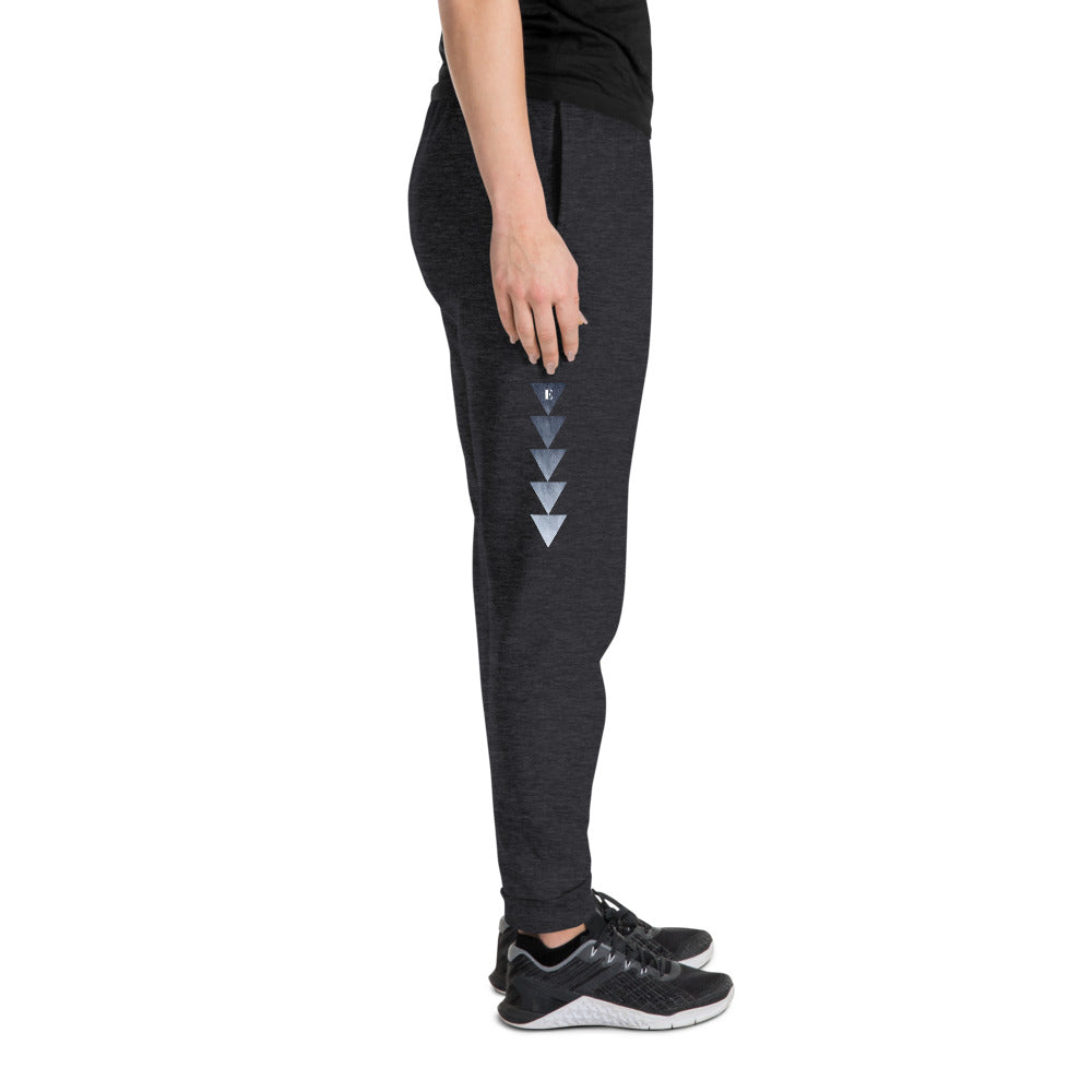 Tri Ombre | Ladies Joggers