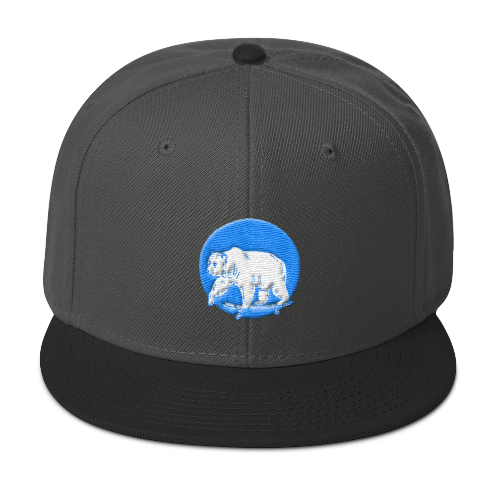 Skater Bear | Snapback