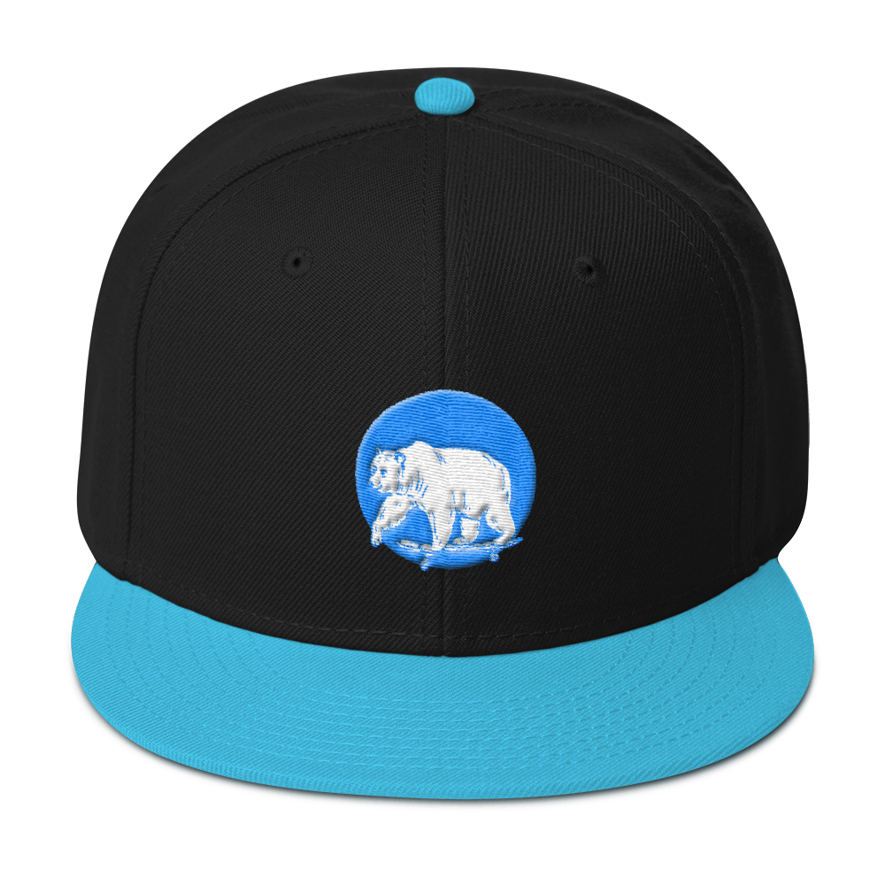Skater Bear | Snapback